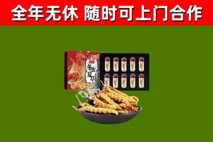 平城回收冬虫夏草价格