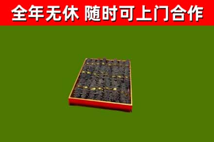 平城回收海参
